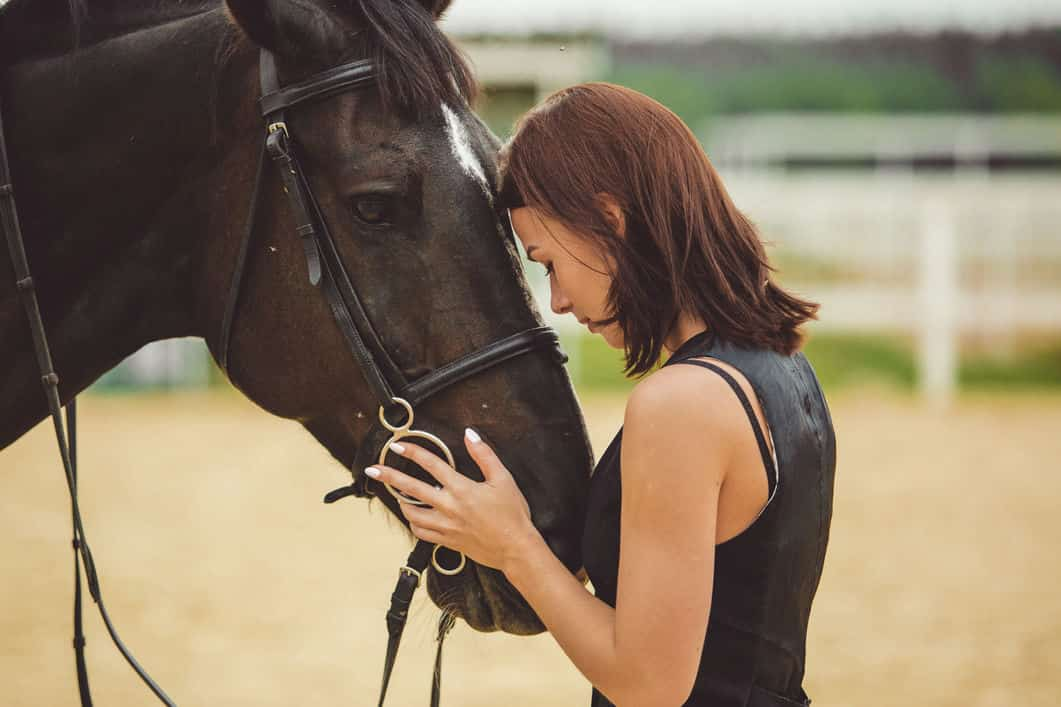 Cuidado del caballo