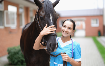 Enfermedades en caballos: causas síntomas y tratamientos