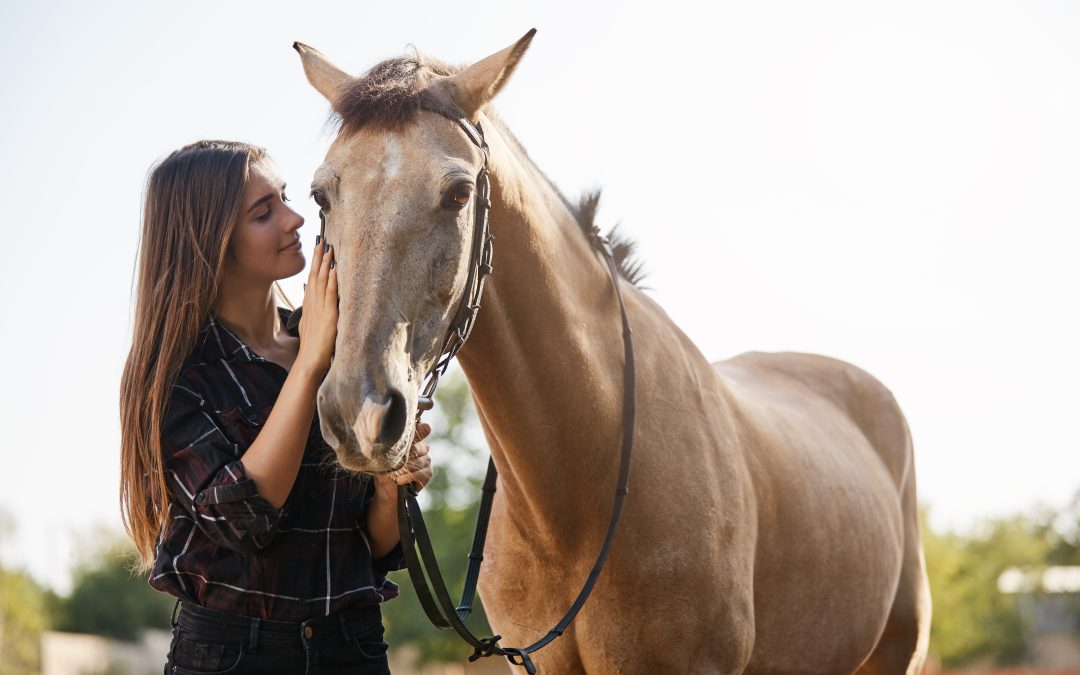 10 consejos de como calmar a un caballo de manera efectiva